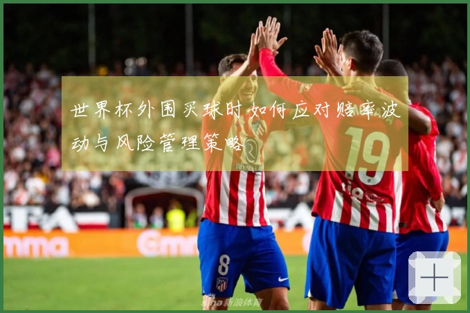 世界杯外围买球时如何应对赔率波动与风险管理策略