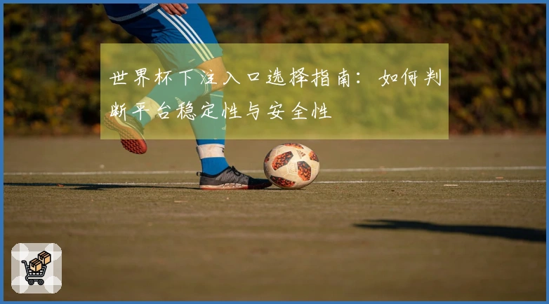 世界杯下注入口选择指南：如何判断平台稳定性与安全性